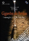 Gigantes de Perdas. I nuraghi: templi della luce. Con DVD-ROM libro