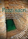 Pozzi sacri. Architetture preistoriche per il culto delle acque in Sardegna libro