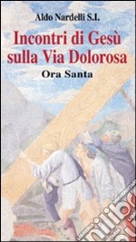 Incontri di Gesù sulla Via Dolorosa. Ora Santa libro