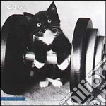 Gatti. Calendario 2003 libro