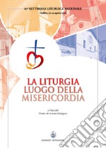 Liturgia luogo della misericordia  libro