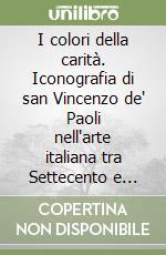 I colori della carità. Iconografia di san Vincenzo de' Paoli nell'arte italiana tra Settecento e Novecento. Catalogo della mostra (Piacenza, 23 dicembre 2017-25 febbraio 2018). Ediz. a colori libro