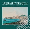 L'immagine di Napoli nella cartografia europea dal Cinquecento all'Ottocento. Ediz. italiana e inglese libro