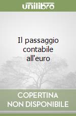 Il passaggio contabile all'euro
