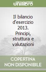 Il bilancio d'esercizio 2013. Principi, struttura e valutazioni libro