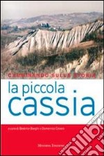 Camminando sulla storia. La piccola Cassia libro