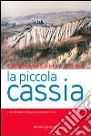 Camminando sulla storia. La piccola Cassia libro