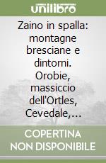 Zaino in spalla: montagne bresciane e dintorni. Orobie, massiccio dell'Ortles, Cevedale, Adamello e Presanella, le Tre Valli bresciane, monti del Sarda, Alpi di Ledr libro