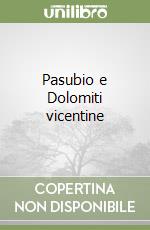 Pasubio e Dolomiti vicentine libro