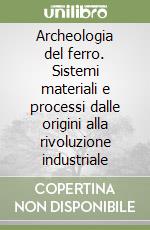 Archeologia del ferro. Sistemi materiali e processi dalle origini alla rivoluzione industriale libro