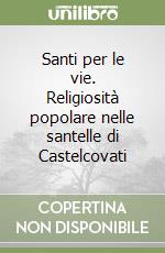 Santi per le vie. Religiosità popolare nelle santelle di Castelcovati