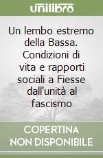 Un lembo estremo della Bassa. Condizioni di vita e rapporti sociali a Fiesse dall'unità al fascismo libro