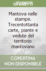 Mantova nelle stampe. Trecentottanta carte, piante e vedute del territorio mantovano libro