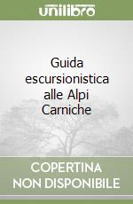 Guida escursionistica alle Alpi Carniche