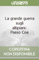 La grande guerra sugli altipiani: Passo Coe