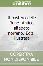 Il mistero delle Rune. Antico alfabeto norreno. Ediz. illustrata libro