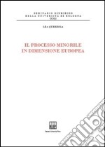 Il Processo minorile in dimensione Europa libro