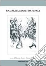 Sicurezza e diritto penale libro