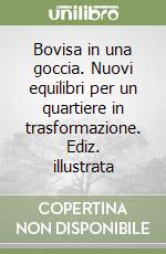 Bovisa in una goccia. Nuovi equilibri per un quartiere in trasformazione. Ediz. illustrata libro