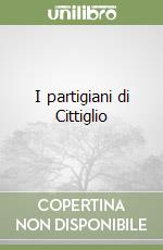 I partigiani di Cittiglio libro