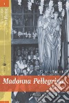 Madonna Pellegrina 1946-1951. Frammenti di cronaca e di storia libro di Tuninetti Giuseppe