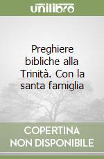 Preghiere bibliche alla Trinità. Con la santa famiglia libro