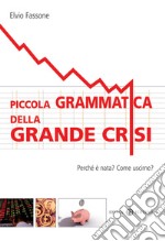 Piccola grammatica della grande crisi. Perchè è nata? Come uscirne? libro