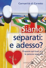 Siamo separati: e adesso? Proposte spirituali per le persone separate libro