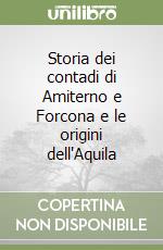 Storia dei contadi di Amiterno e Forcona e le origini dell'Aquila libro