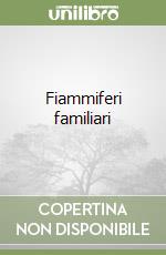 Fiammiferi familiari libro