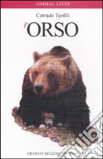 L'orso libro