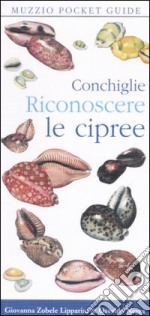 Conchiglie. Riconoscere le cipree