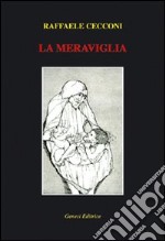 La meraviglia libro