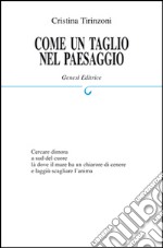 Come un taglio nel paesaggio