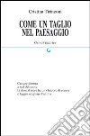 Come un taglio nel paesaggio libro