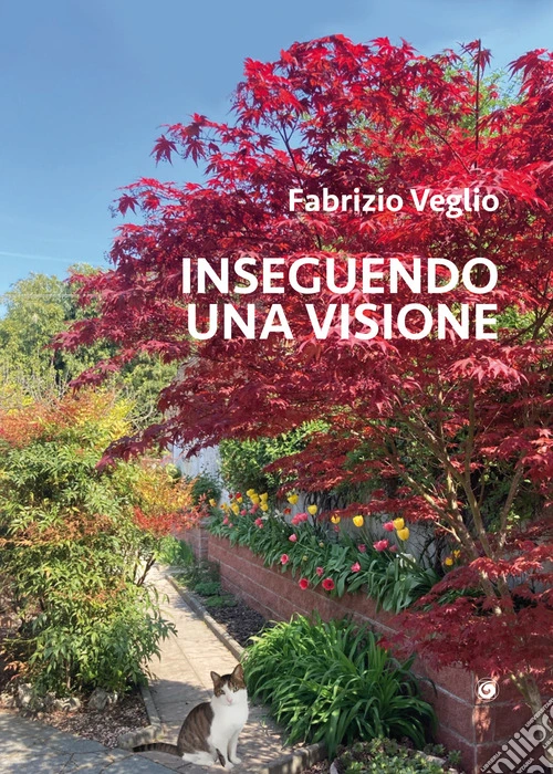 Inseguendo una visione