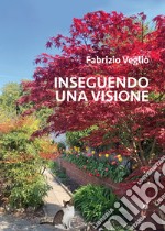 Inseguendo una visione libro