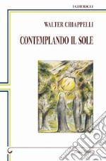 Contemplando il sole libro