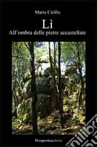 Lì, all'ombra delle pietre accastellate libro