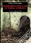 Tombaroli per caso in terra etrusca libro