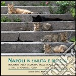 Napoli in salita e discesa. Percorso alla scoperta delle scale napoletane libro