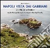 Napoli vista dai gabbiani. La città se volassimo. Ediz. bilingue libro