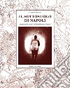 Il sottosuolo di Napoli. Acquedotti e cavità in duemila anni di scavi libro di Esposito Clemente