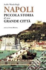 Napoli. Piccola storia di una grande città libro