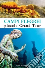 Campi Flegrei. Piccolo Grand Tour libro