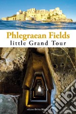 Phlegraean Fields. Little grand tour libro