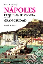 Nápoles. Pequeña historia de una gran ciudad libro