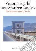 Un paese sfigurato. Viaggio attraverso gli scempi d'Italia libro