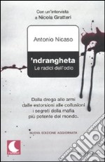 'Ndrangheta. Le radici dell'odio libro