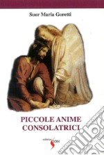 Piccole anime consolatrici libro